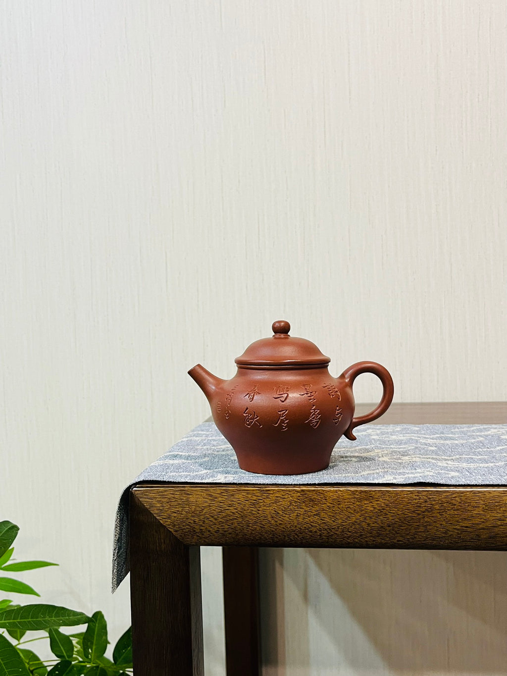 高莲子红皮龙·220cc