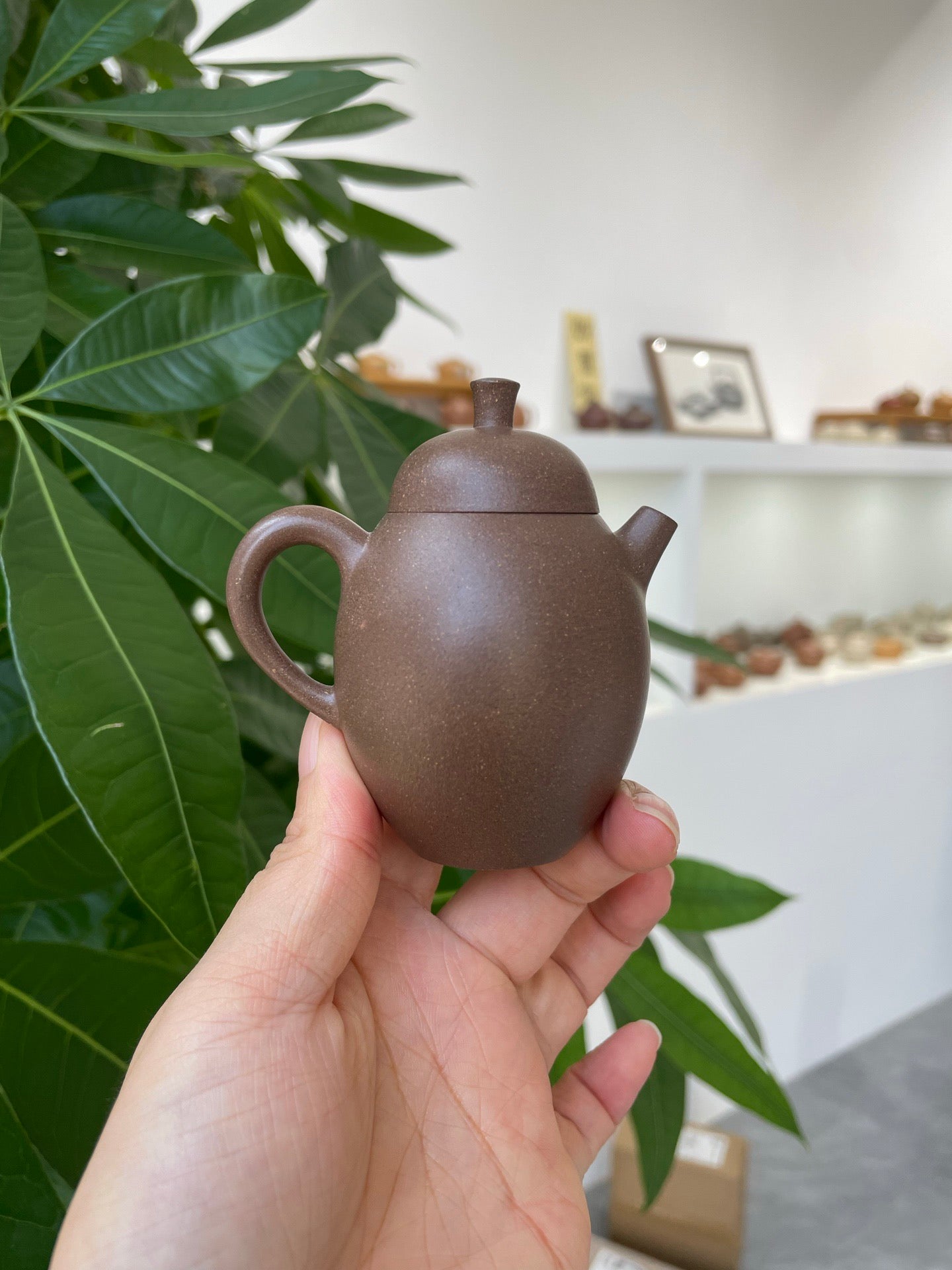 文筠执壶·拉不不款·80cc老段