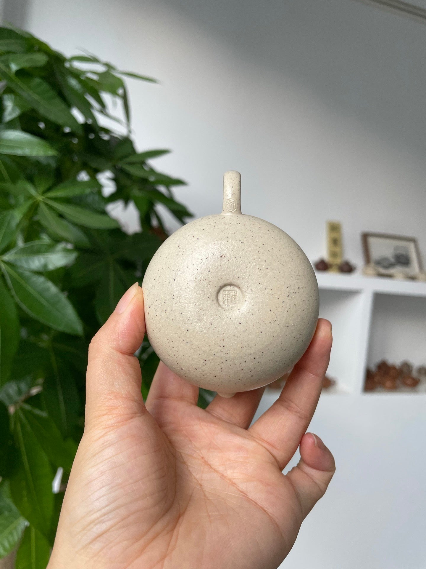 小福袋🧧100cc白玉段