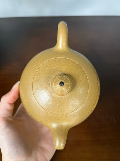 泥料：黄金段

容量：340