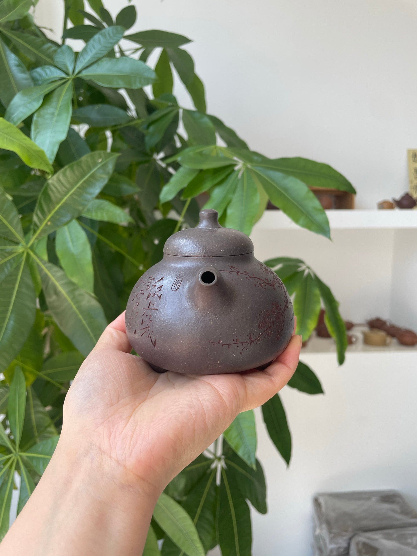 乳鼎·慕古·260cc原矿天青料