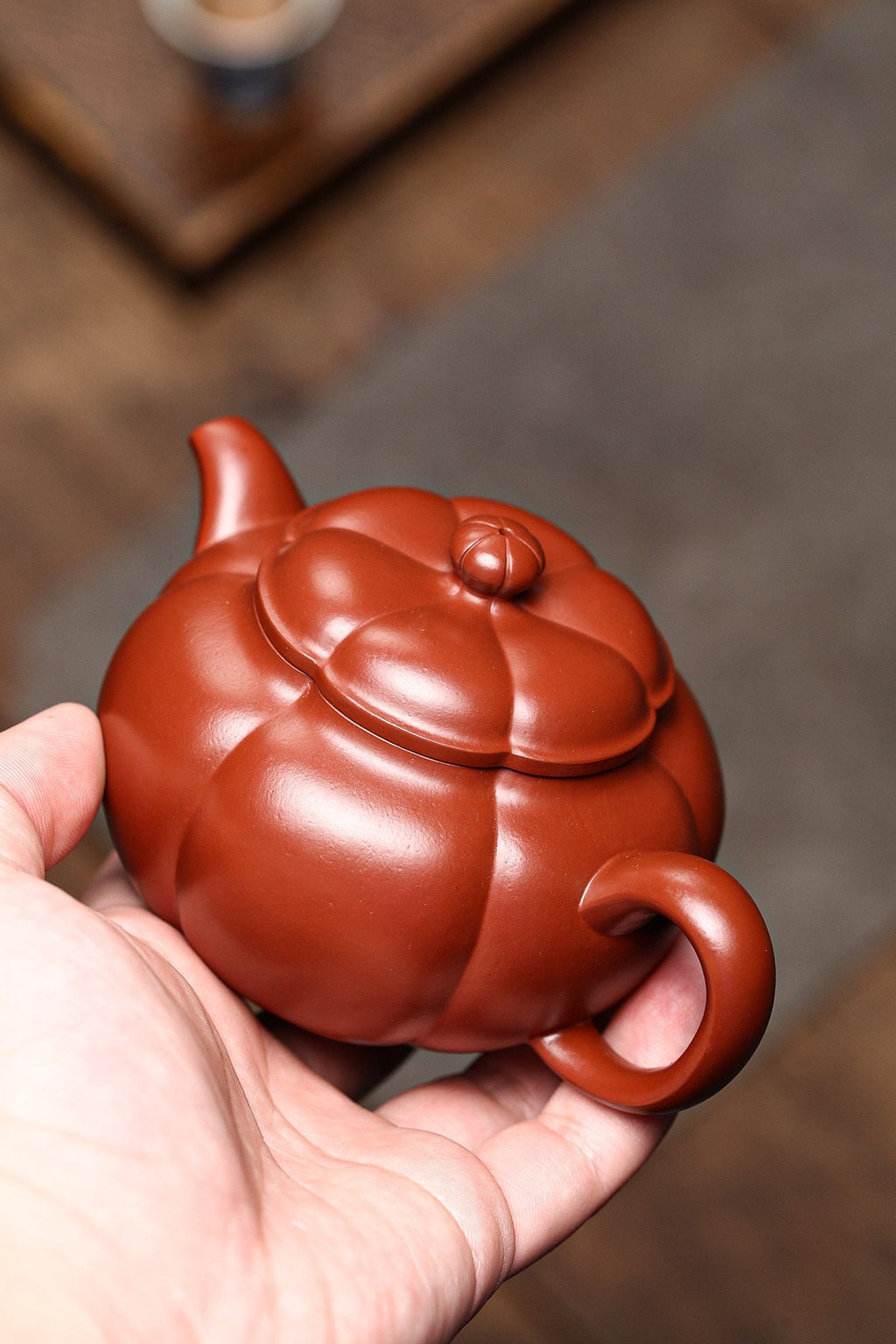 海棠菱花大红袍200cc