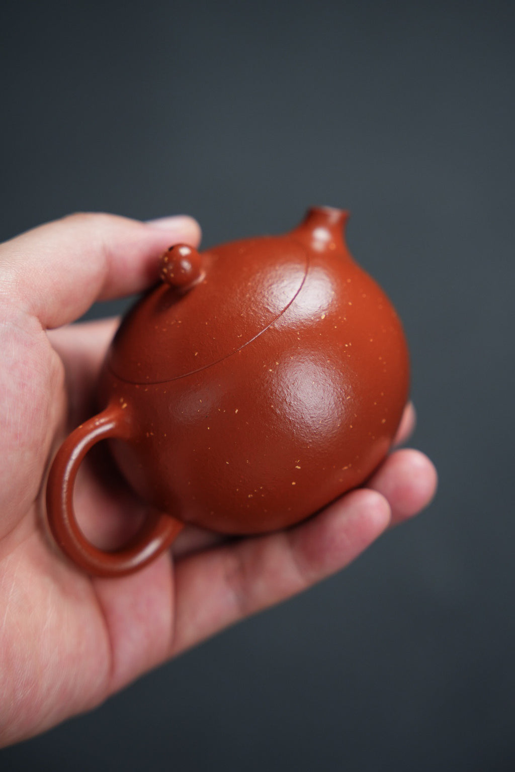 美人西施180cc朱泥料