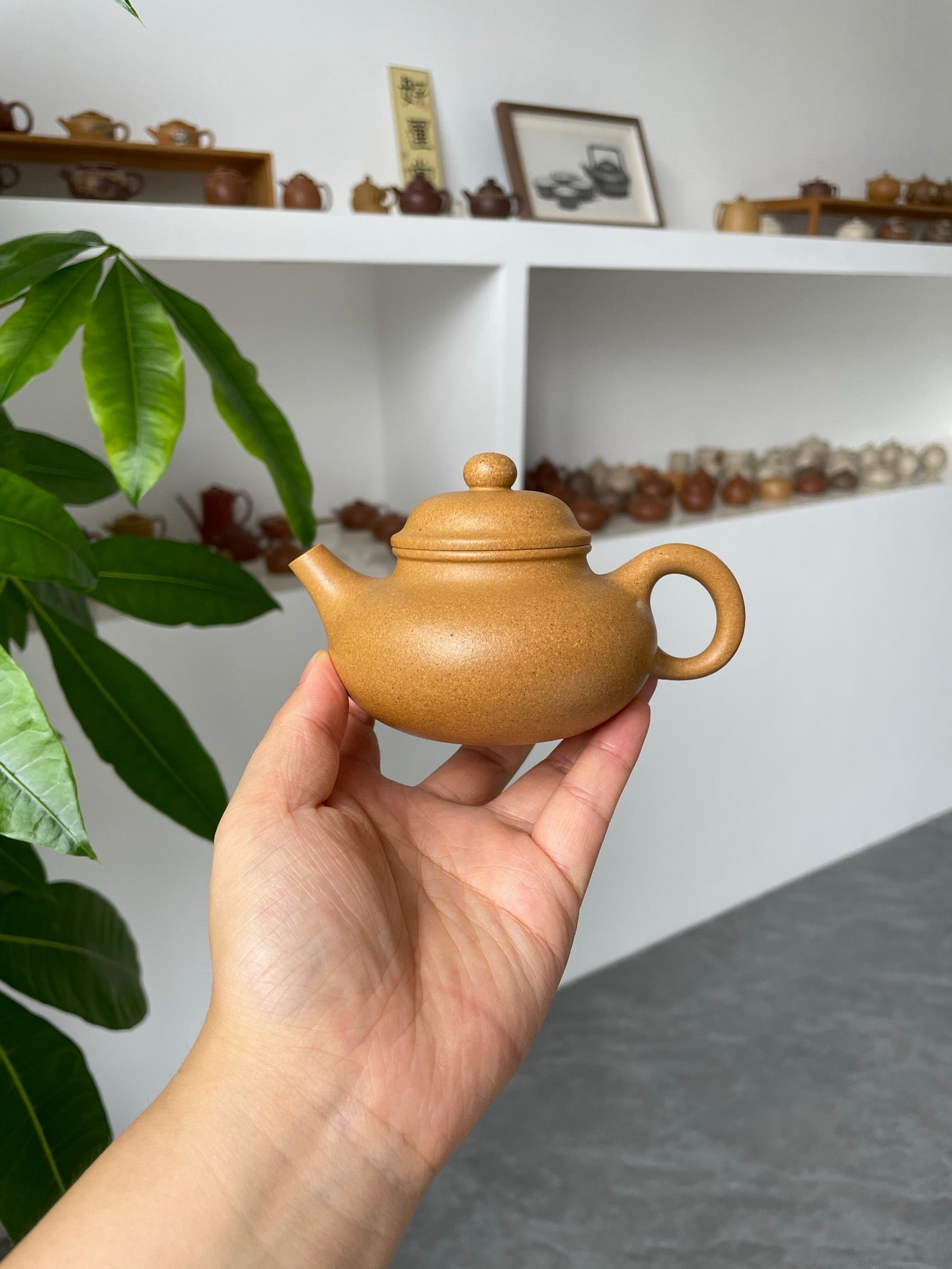 小容天·慕古·150cc黄金段