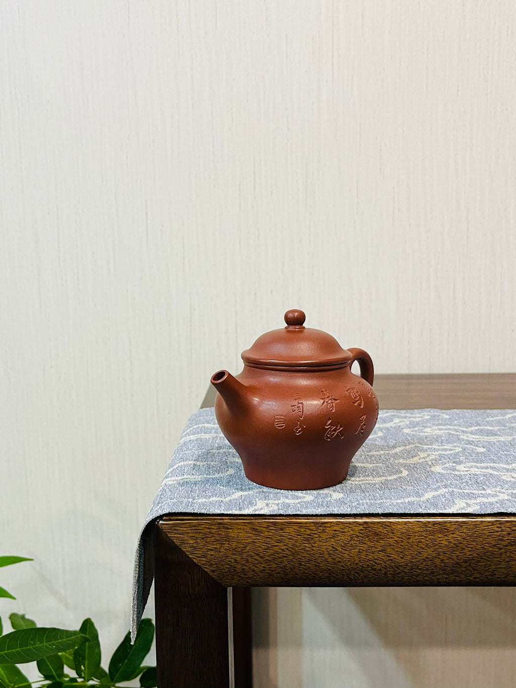 高莲子红皮龙·220cc