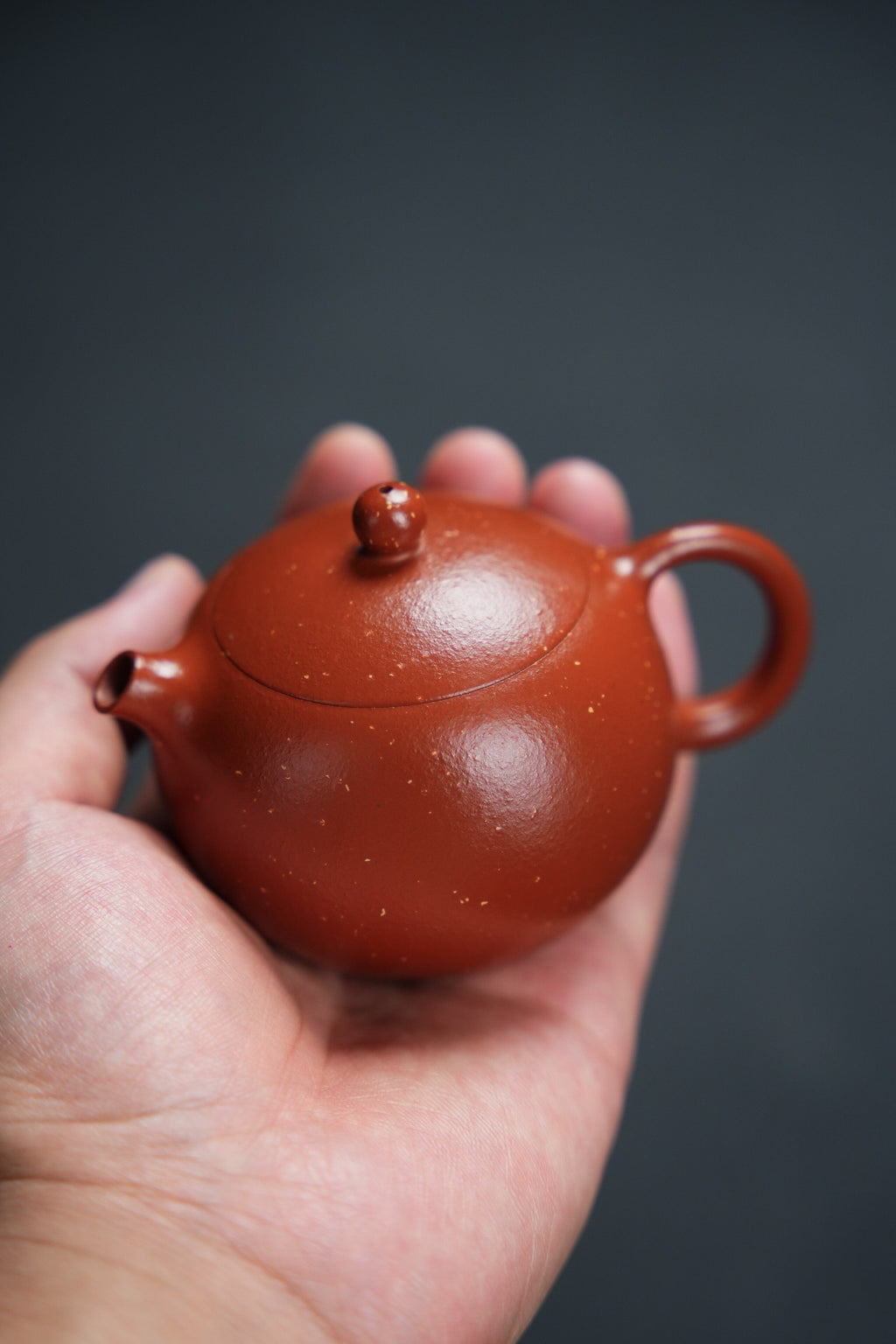 美人西施180cc朱泥料