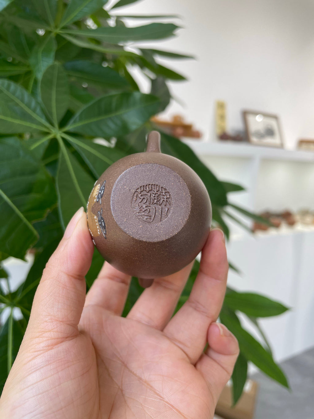 文筠执壶·拉不不款·80cc老段