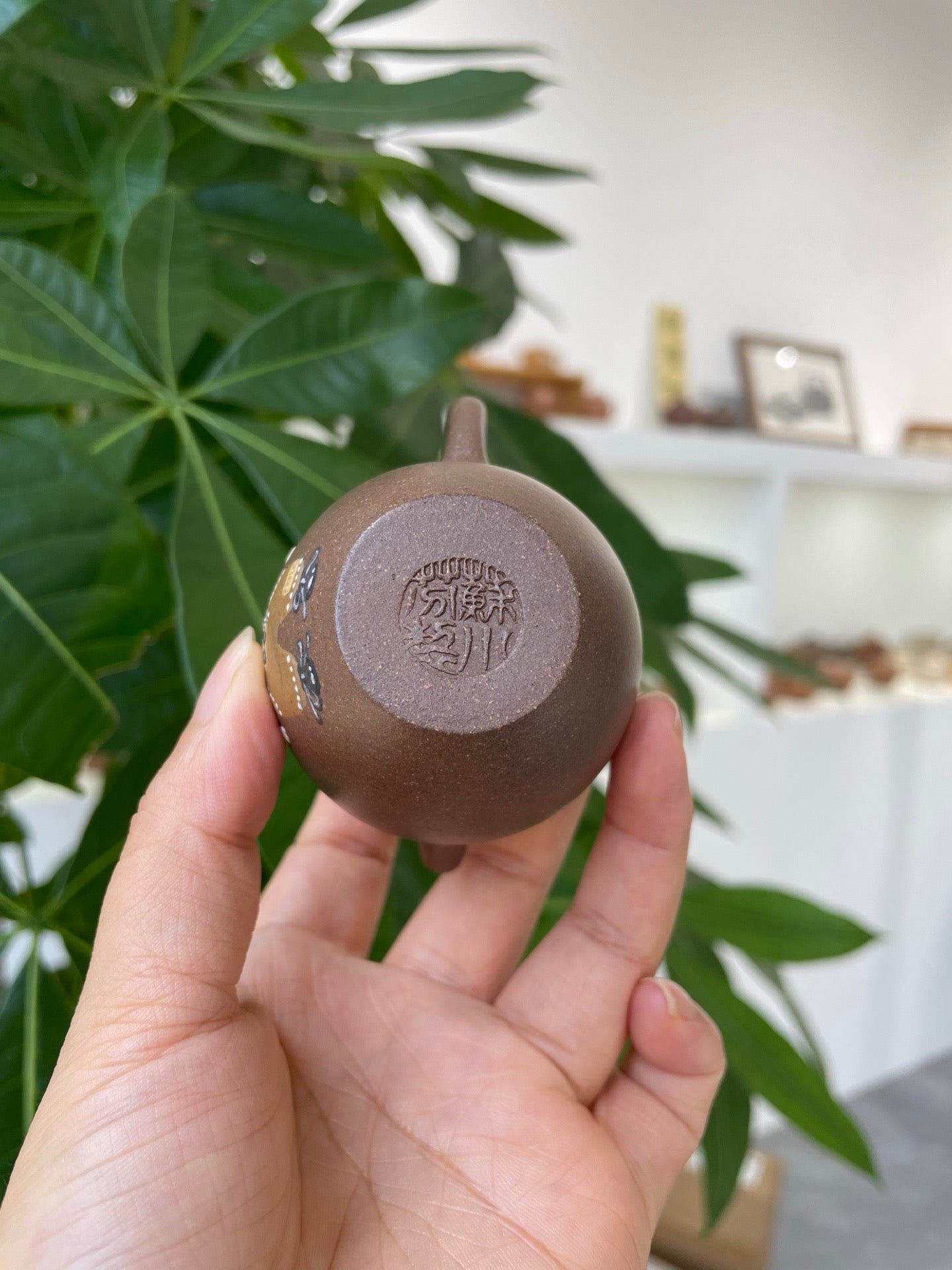 文筠执壶·拉不不款·80cc老段