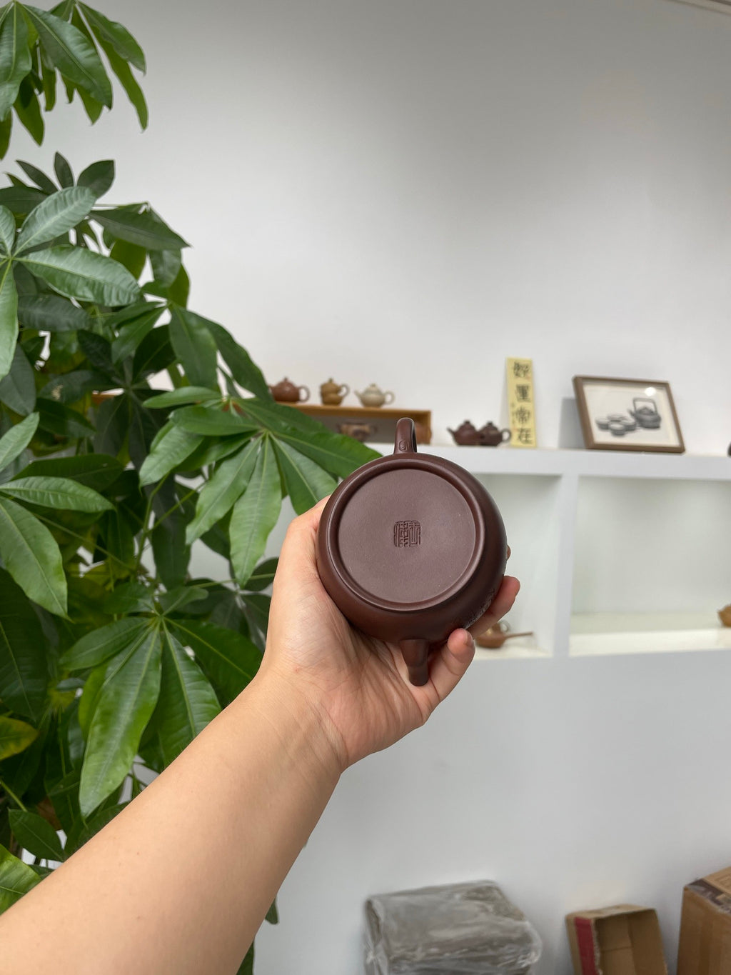 君澜·华亭160cc老紫料