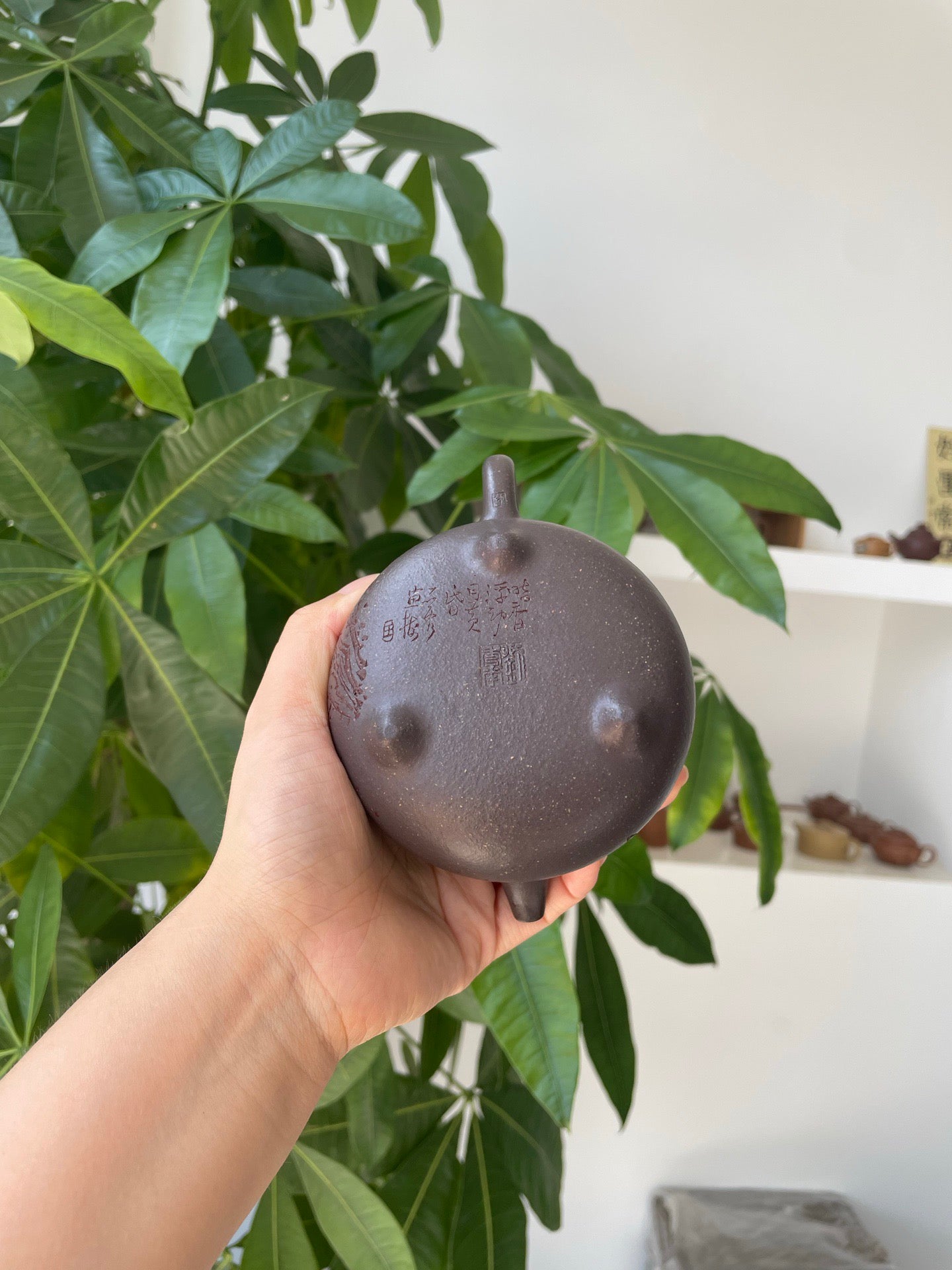 乳鼎·慕古·260cc原矿天青料