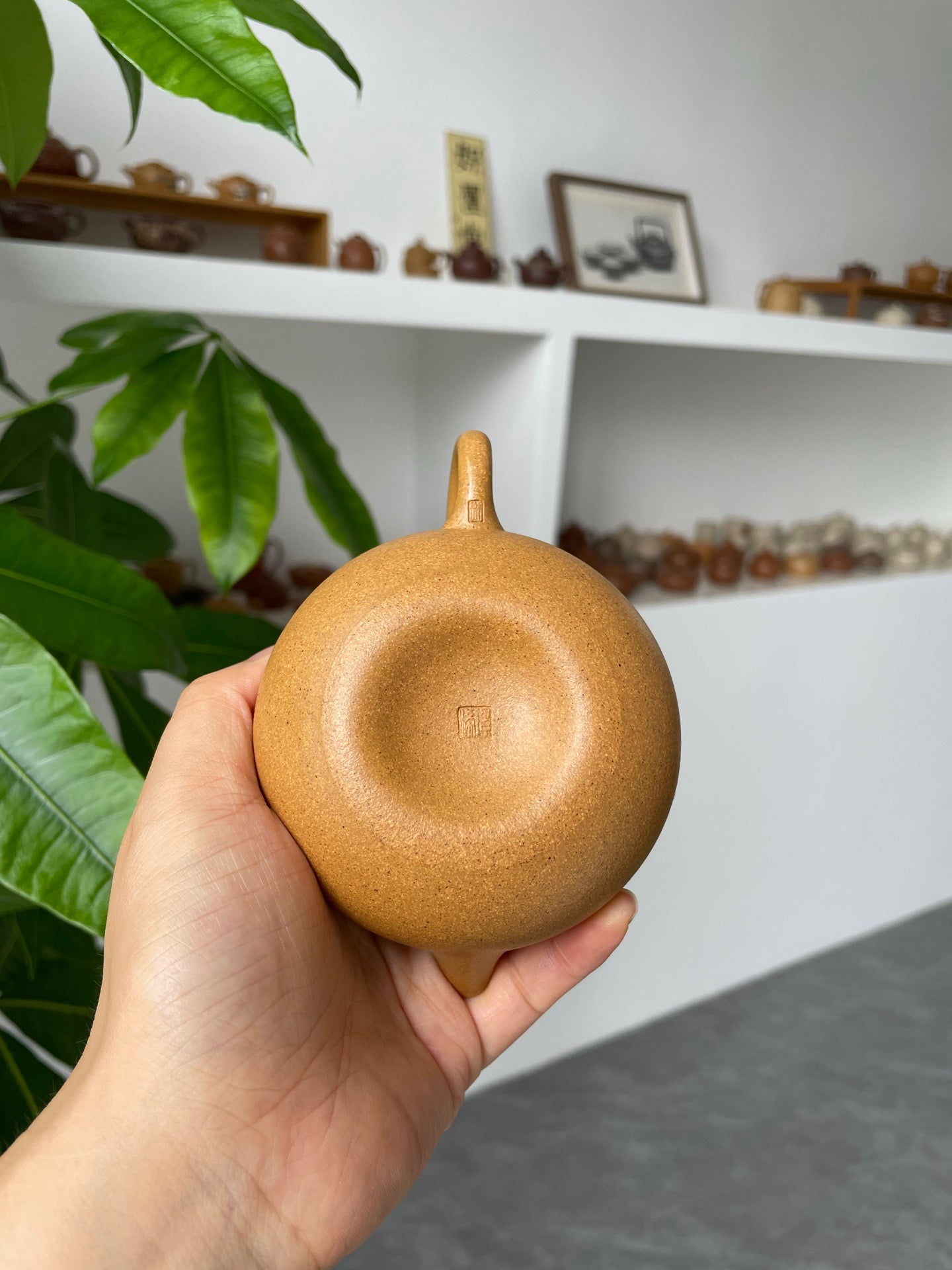 小容天·慕古·150cc黄金段