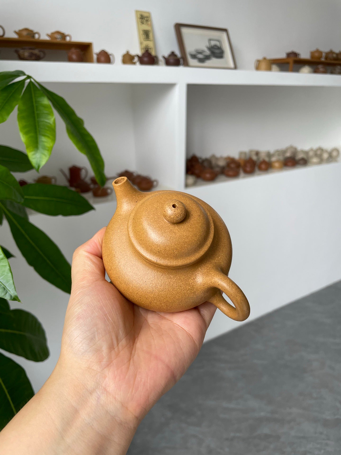 小容天·慕古·150cc黄金段