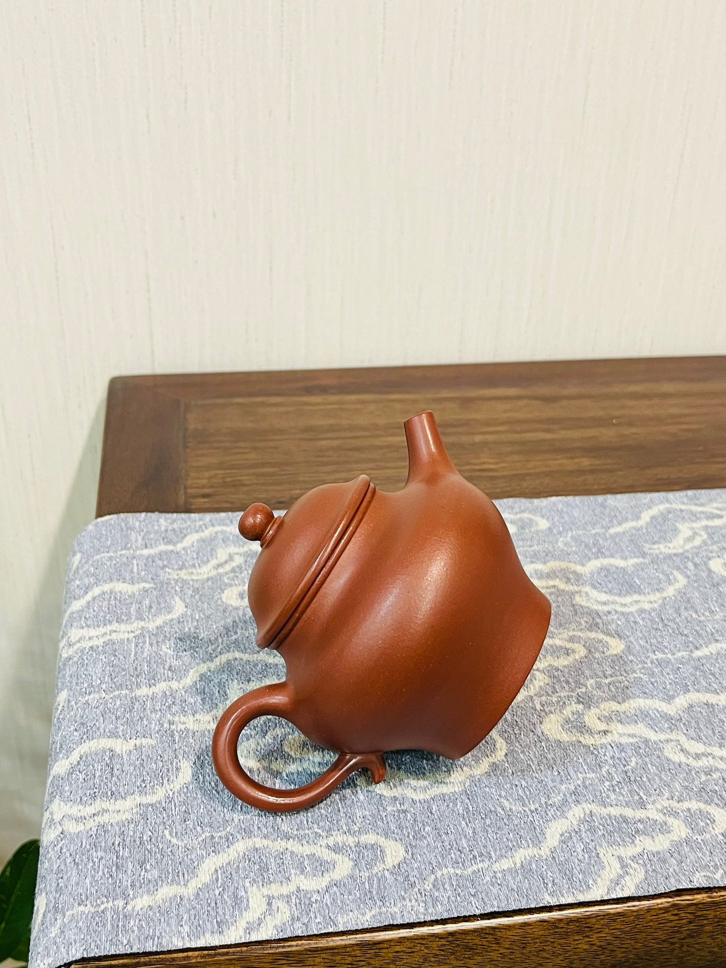 高莲子红皮龙·220cc