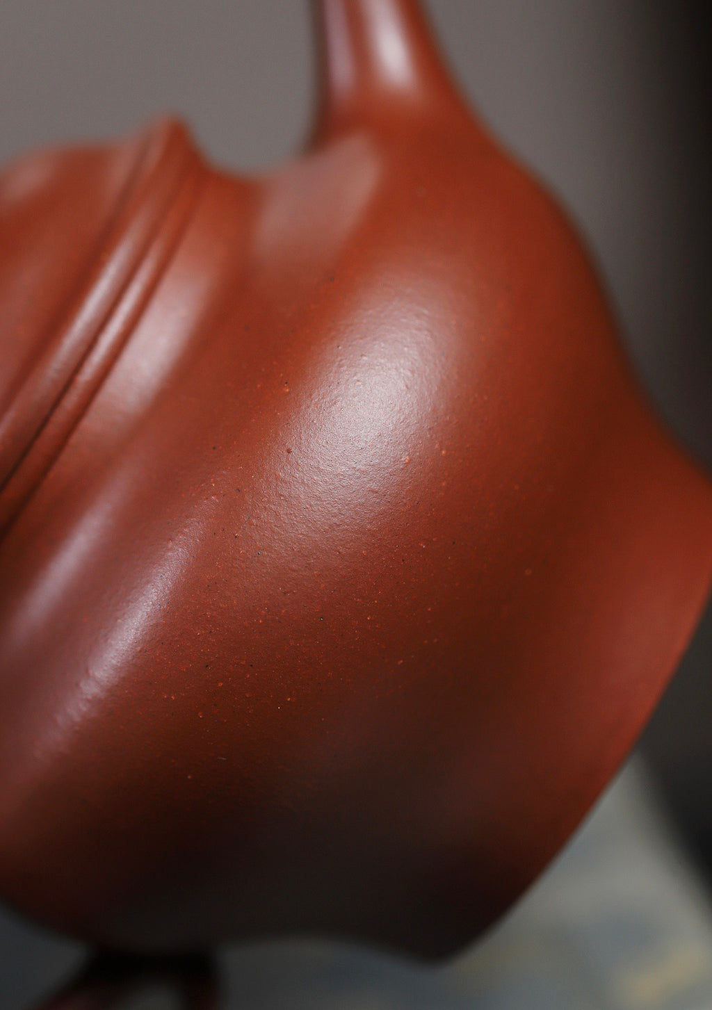 高莲子红皮龙220cc