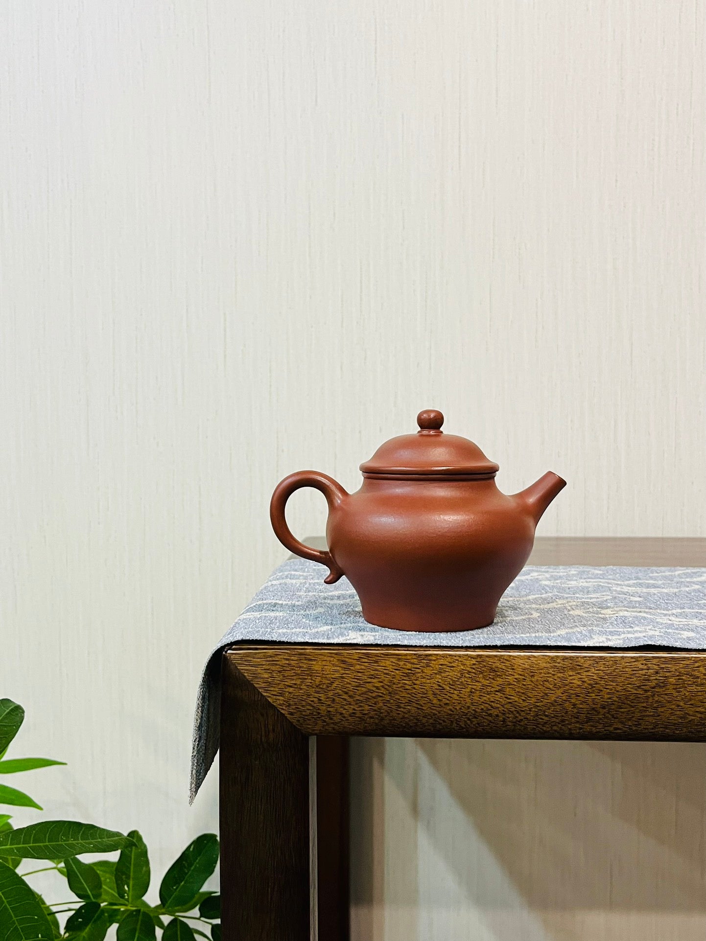 高莲子红皮龙·220cc