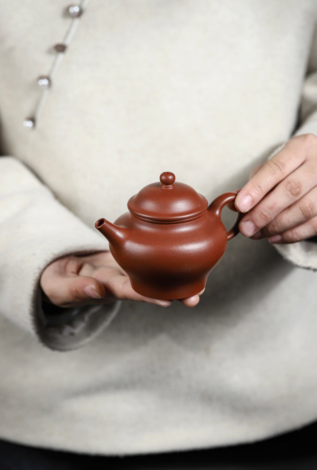 高莲子红皮龙220cc