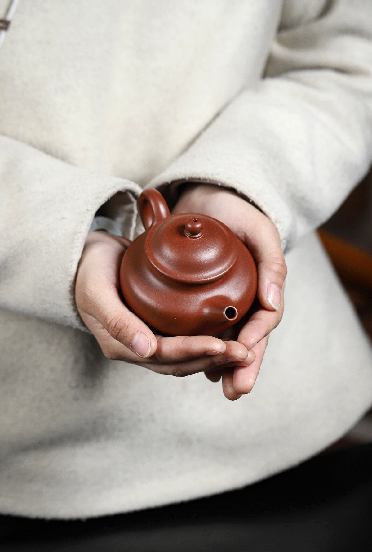 高莲子红皮龙220cc