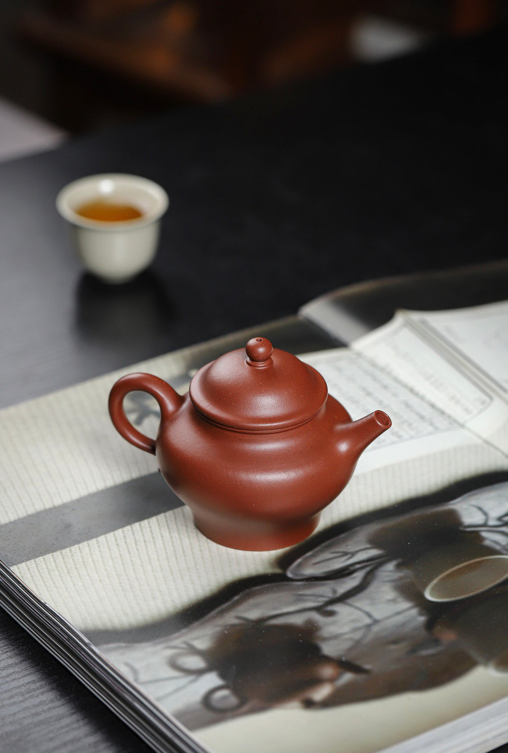 高莲子红皮龙220cc