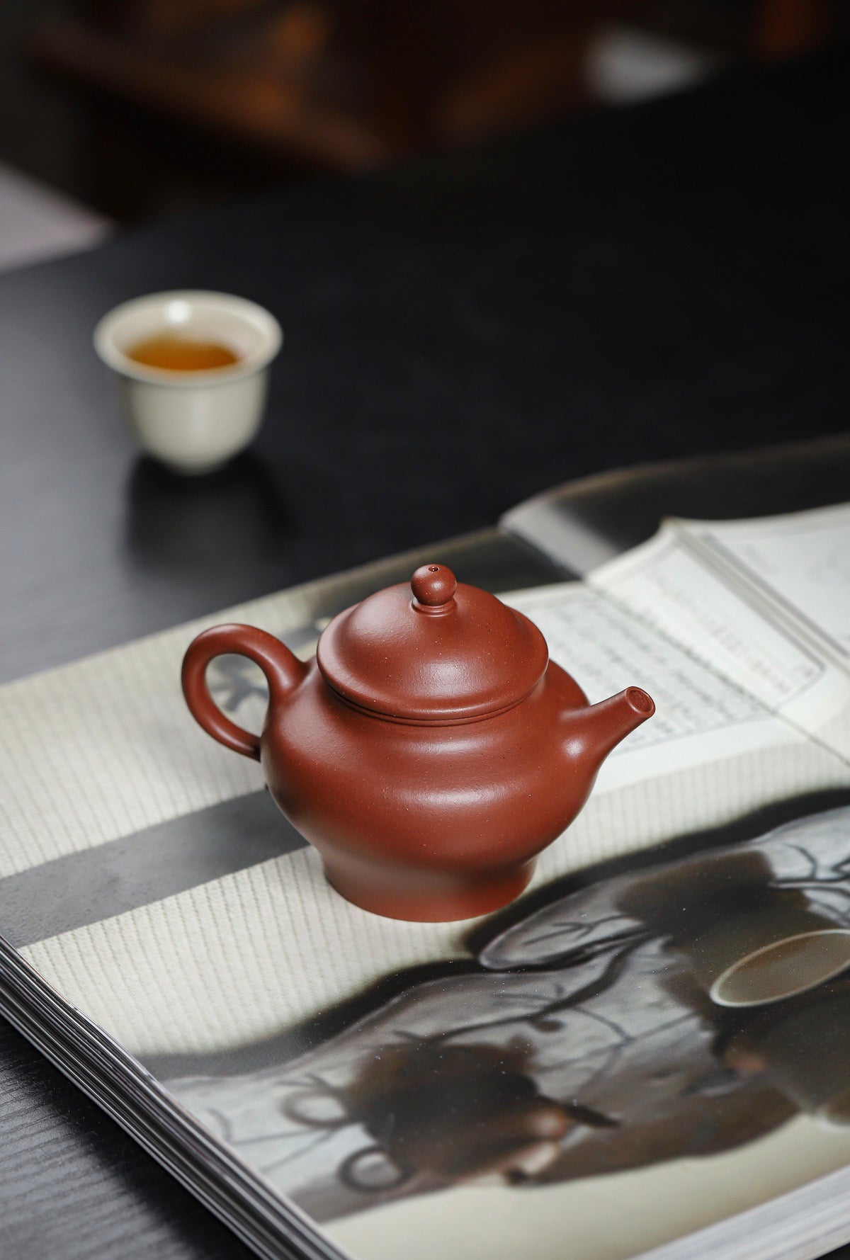 高莲子红皮龙220cc