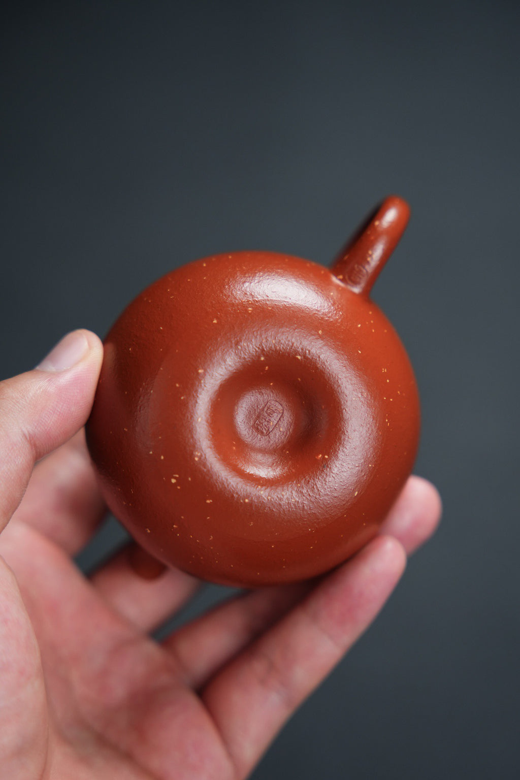 美人西施180cc朱泥料