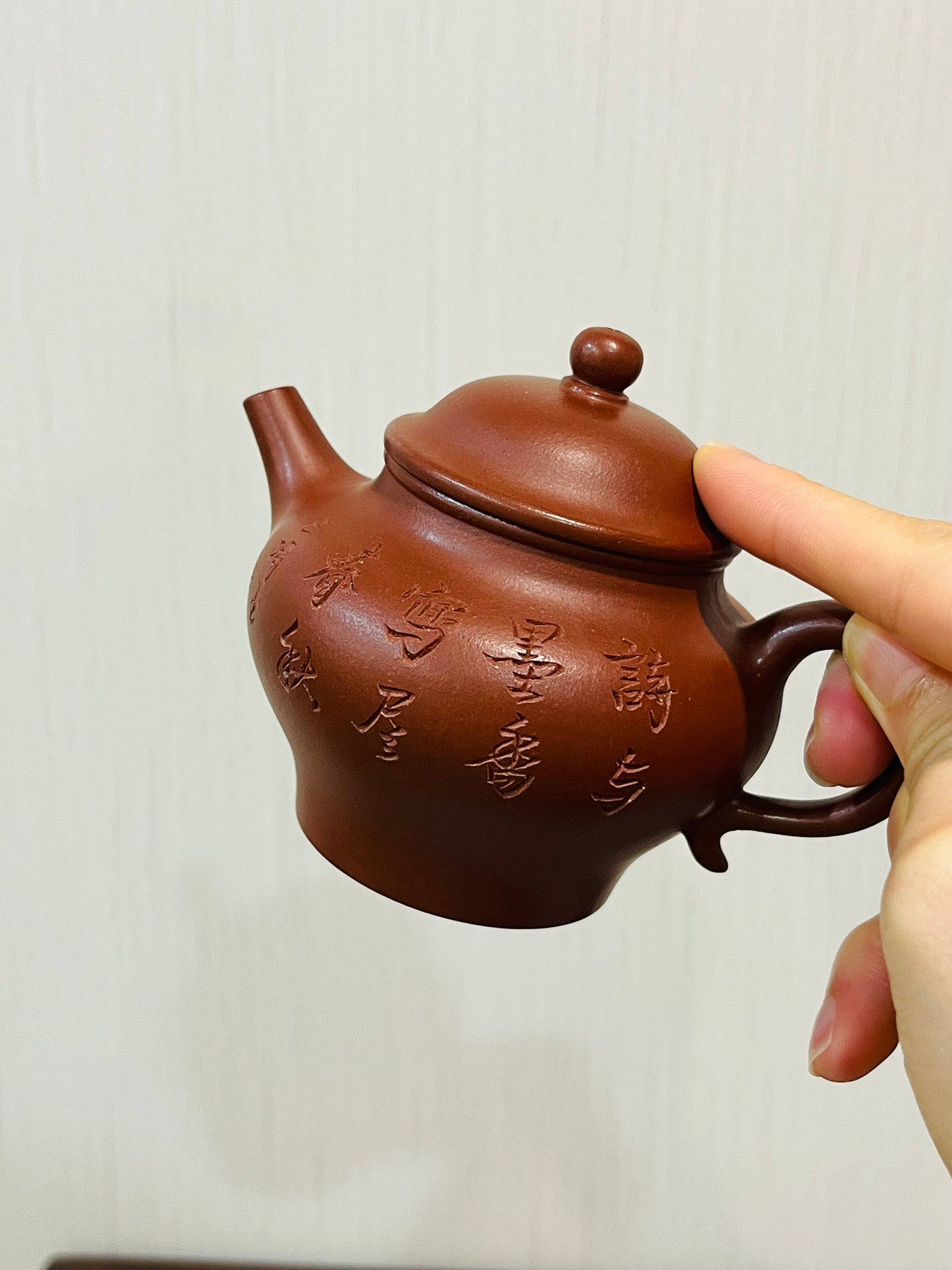 高莲子红皮龙·220cc