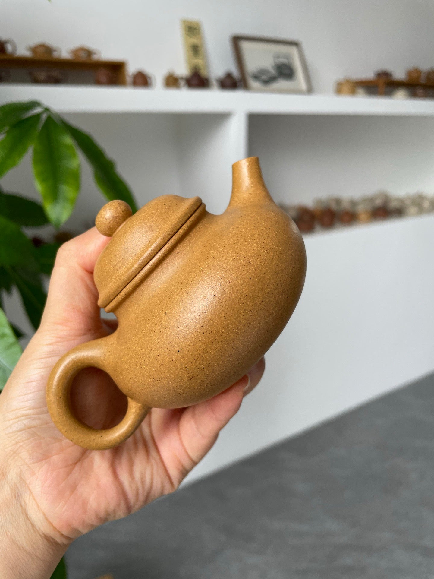 小容天·慕古·150cc黄金段